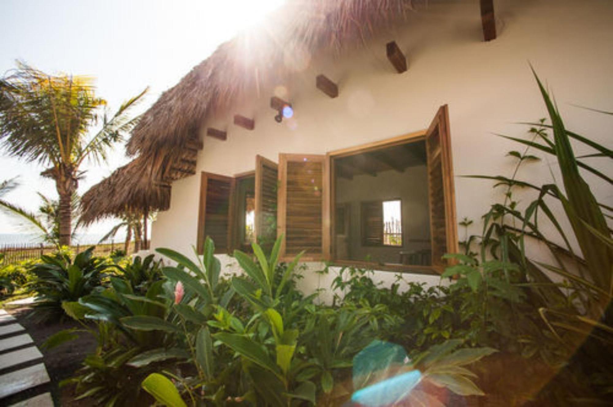 Paredon Surf House Hotell El Paredón Buena Vista Rum bild