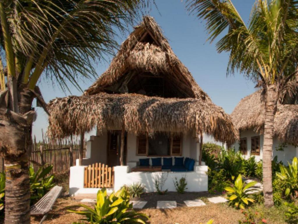 Paredon Surf House Hotell El Paredón Buena Vista Rum bild