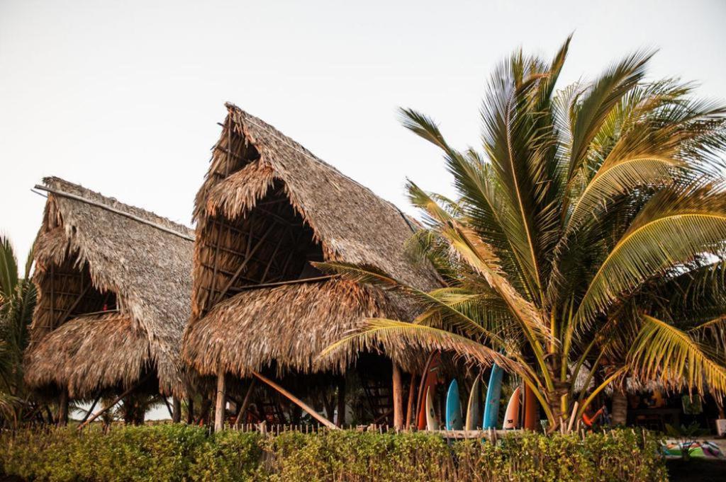 Paredon Surf House Hotell El Paredón Buena Vista Rum bild
